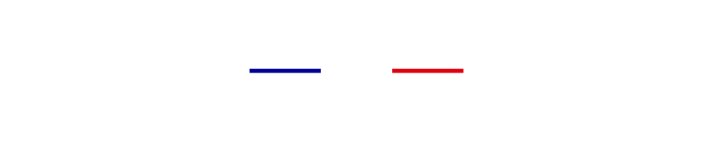 couleur du drapeau francais bleu, blanc, rouge